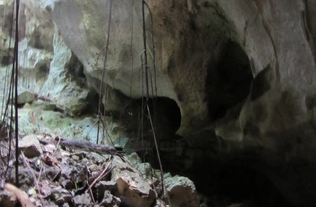 Cueva del Puente Parque Cotubanama 1